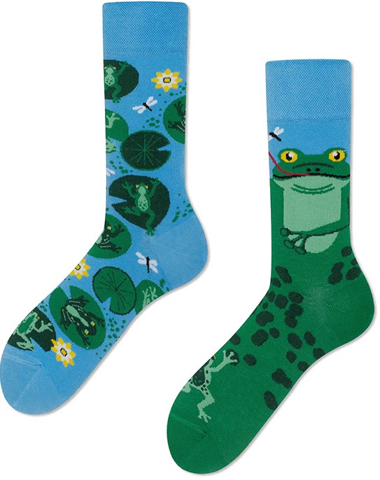 S-E1.4  SOCKS2512-163 Pair of Socks Size 38-45 Frogs
