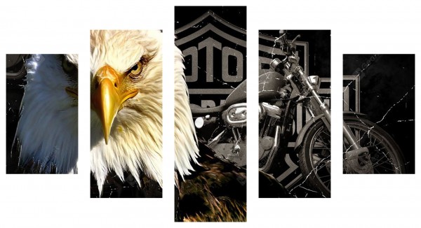 G-A9.1 FF192 Diamond Painting 5 Frames Eagle 150x90cm
