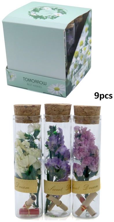 R-E8.2 C955-002 Dry Flowers in Glass Tube 9pcs