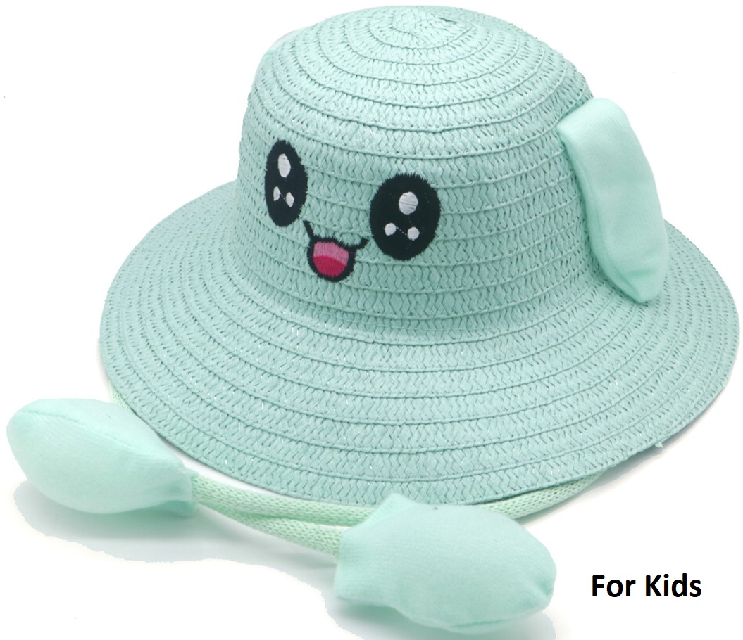 T-I6.1  HAT901-008-5 Summer Hat Moving Ears - For Kids