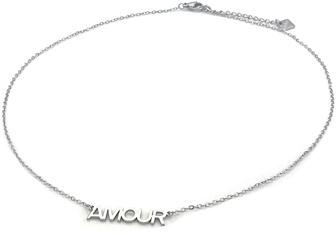 B-A6.3 N1139-003S S. Steel Necklace AMOUR 40-45cm