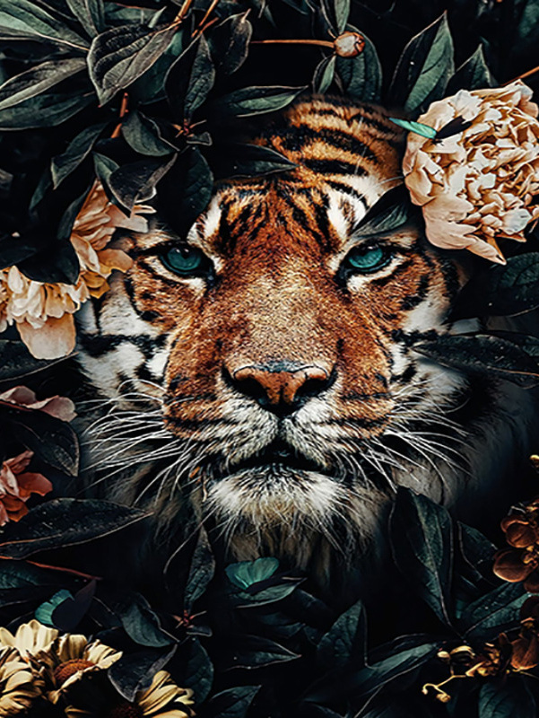 T-L7.2 GD78143 Diamond Painting Canvas 40x30cm - Painting 35x25cm Tiger