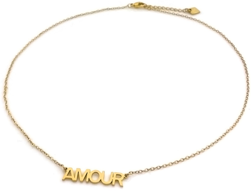 B-B20.3 N1139-003G S. Steel Necklace AMOUR 40-45cm