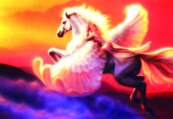 I-C14.1 X029 Diamond Painting Pegasus 50x40cm Square Stones