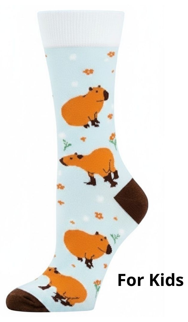 S-H5.2 KS2607-019 Pair of Socks for Kids Size 33-38 Capybara