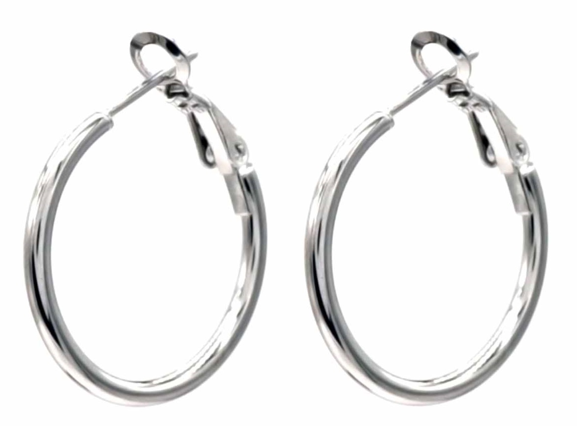 G-D21.3 E833-009S S. Steel Earrings 2.5cm
