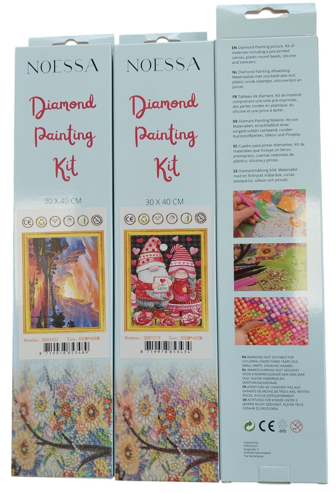 R-N4.1 GD79047 Diamond Painting Canvas 40x30cm - Painting 35x25cm Lion Flame