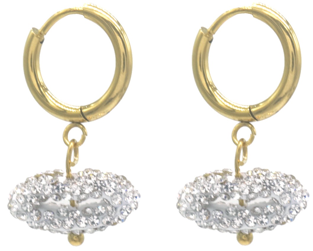 F-D18.1 E1033-002G-1 S. Steel Earrings Crystals Kiss 2.5x1.5cm