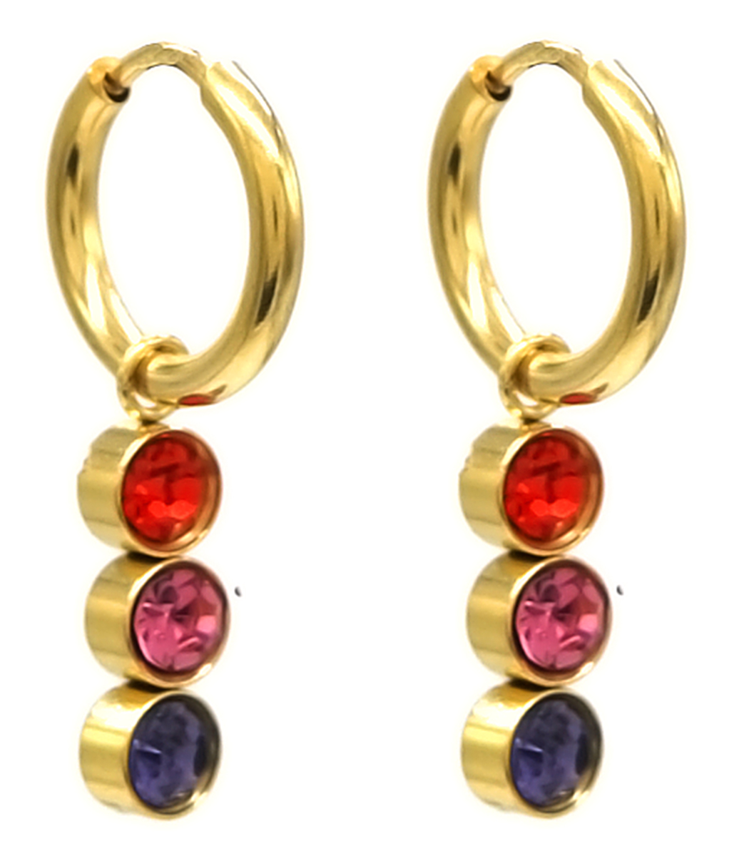E-A19.4 E2275-010G S. Steel Earrings Crystals 1.2x2.4cm