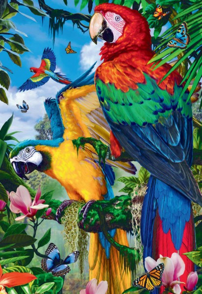 R-F7.2 DP2280222  Diamond Painting Parrots 50x40cm - Square 