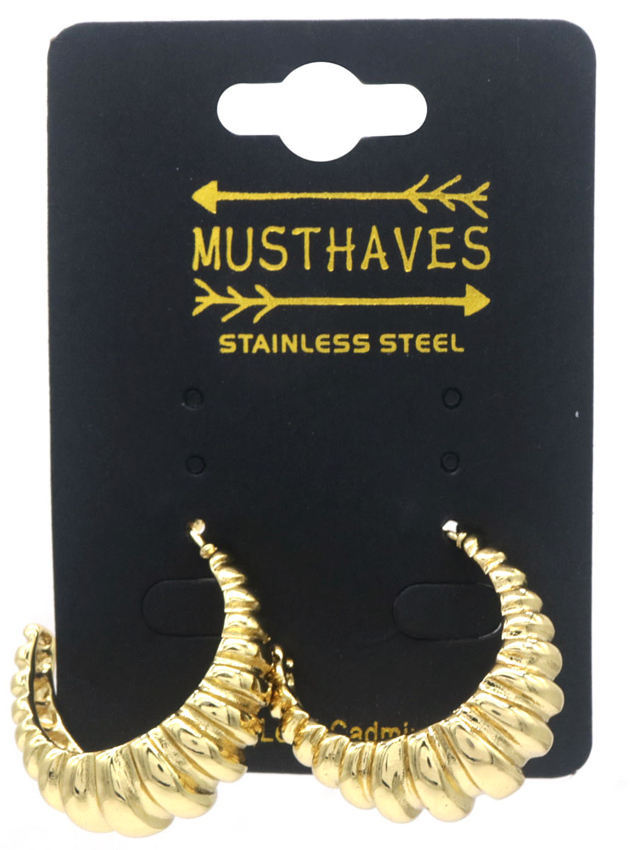 E-E23.2 E126-087G S. Steel Earrings 3cm