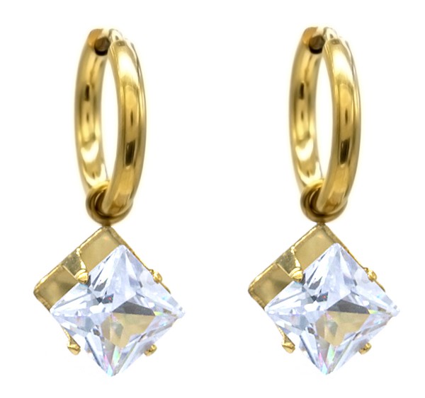 D-E19.1  E221-336G S. Steel 12mm Earring with 10mm Cubic Zirconia
